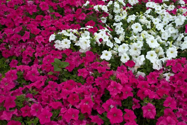 Découvrez des articles zen pour une déco inspirée du bouddhisme